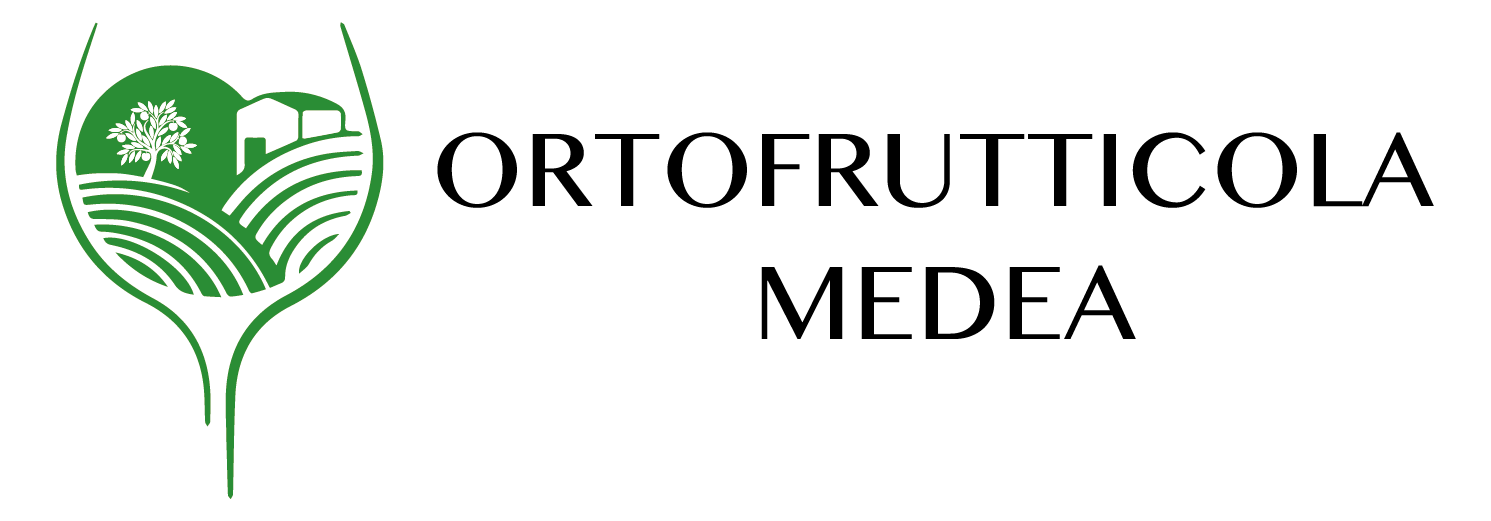 Ortofrutticola Medea