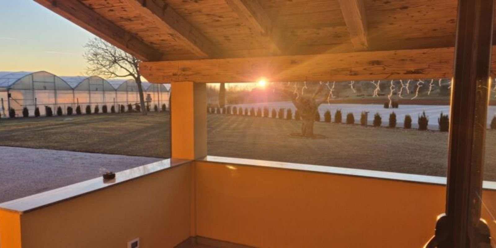 Vigneti di Ortofrutticola Medea al tramonto